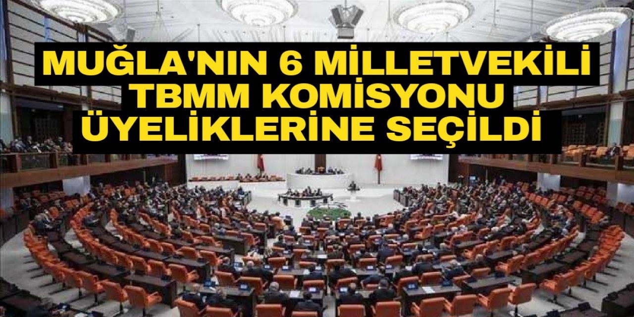 MUĞLA'NIN 6 MİLLETVEKİLİ TBMM KOMİSYONU ÜYELİKLERİNE SEÇİLDİ
