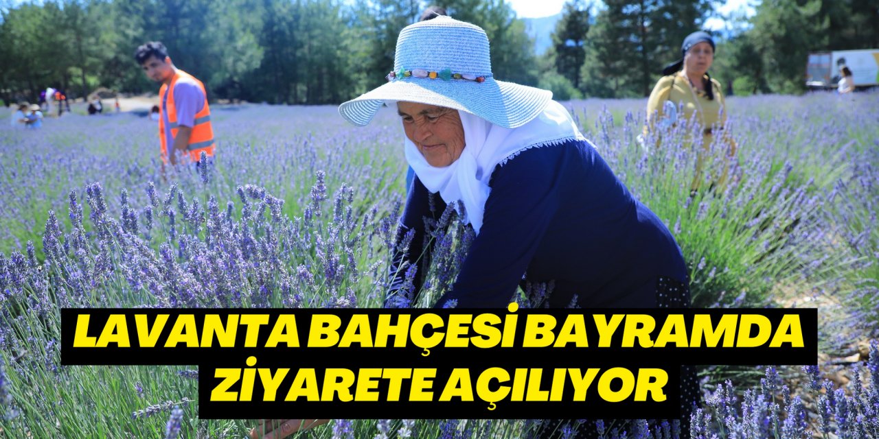 LAVANTA BAHÇESİ BAYRAMDA ZİYARETE AÇILIYOR