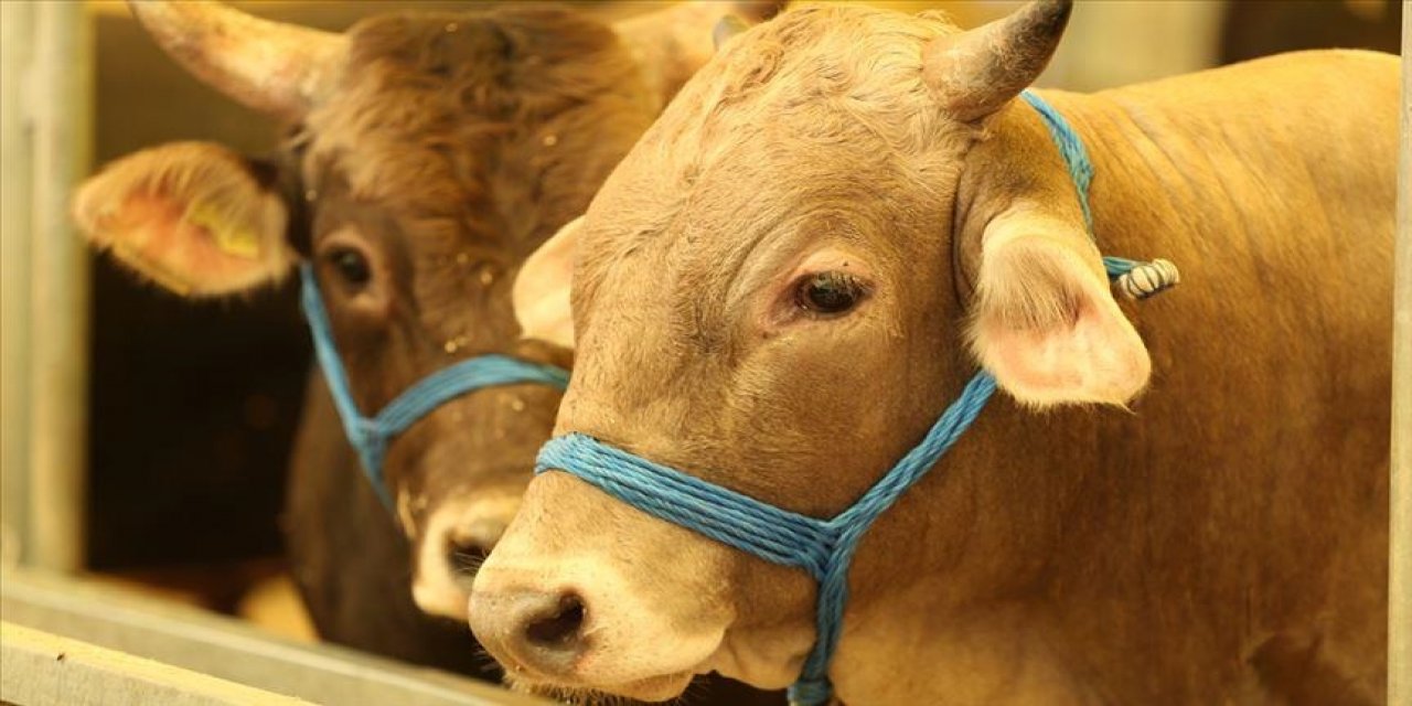 BAYRAMI ACİL SERVİSTE GEÇİRMEK İSTEMİYORSANIZ 