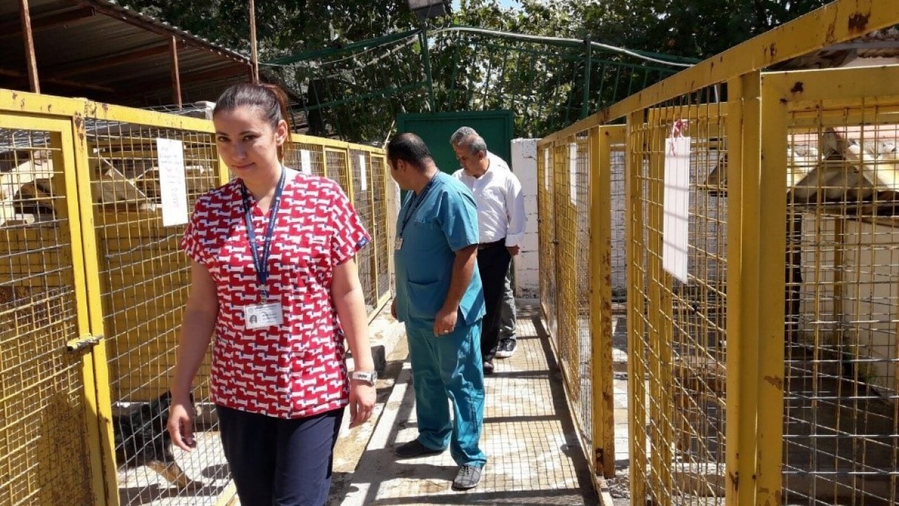 Hayvan Barınağında İnceleme