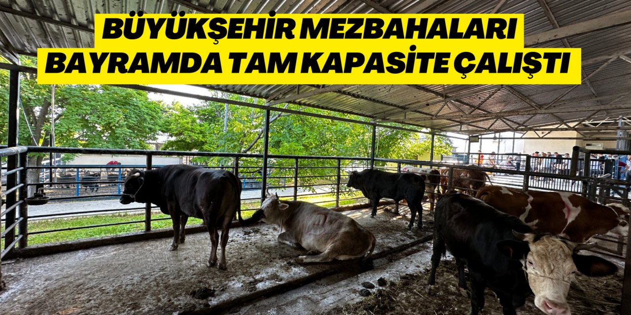 Büyükşehir Mezbahaları Bayramda Tam Kapasite Çalıştı