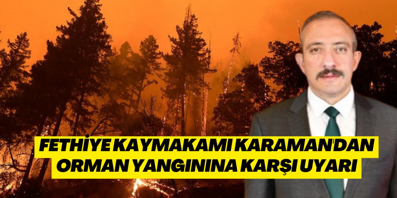 Fethiye Kaymakamı Karaman'dan orman yangınına karşı uyarı