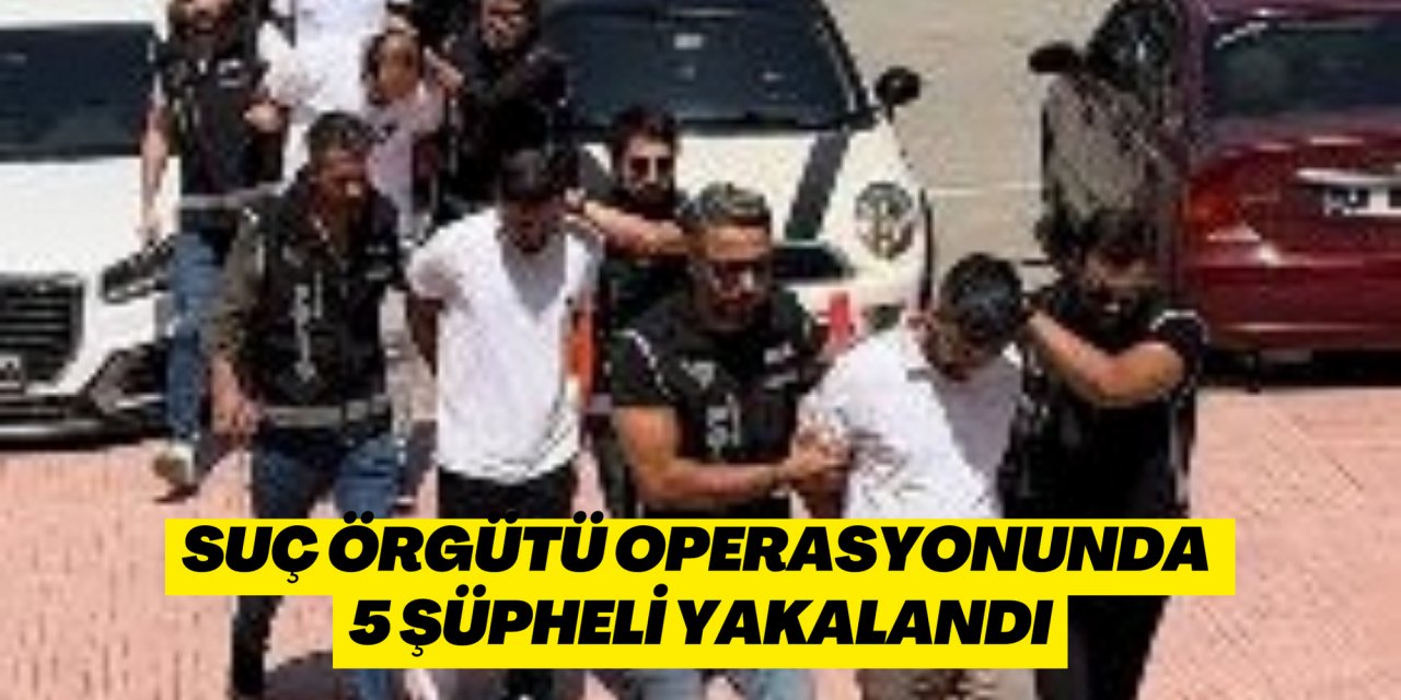 Suç örgütü operasyonunda 5 şüpheli yakalandı