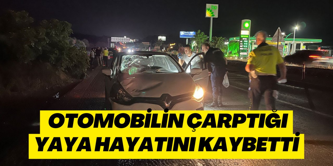Otomobilin çarptığı yaya hayatını kaybetti