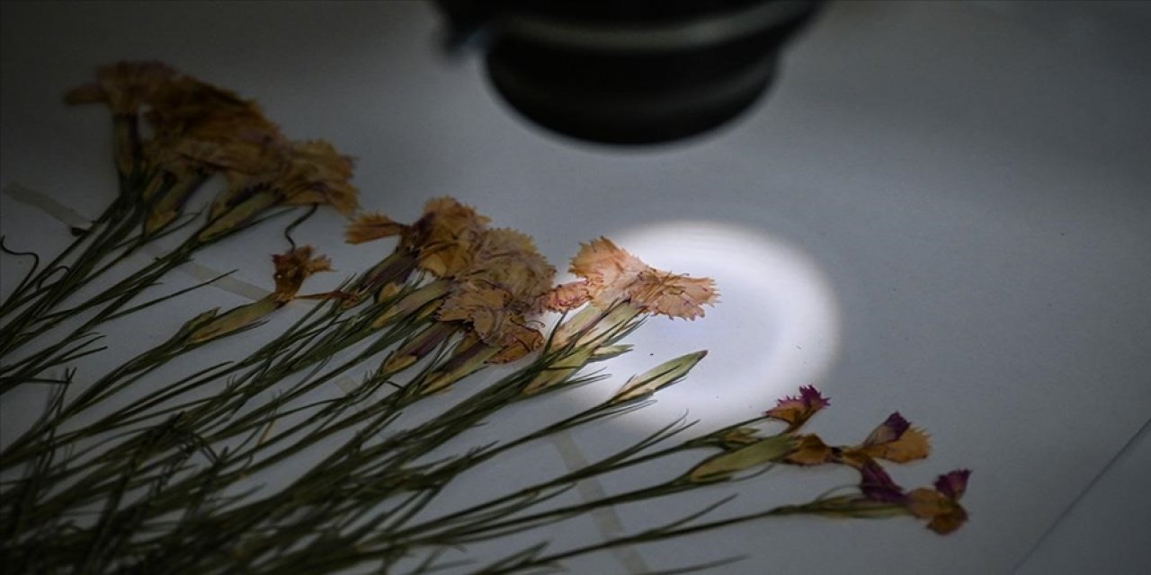 Türkiye'nin 90 yıllık 