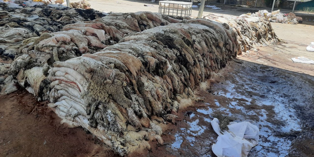 YATAĞAN’DA BU YIL MEZBAHA AÇILMADI