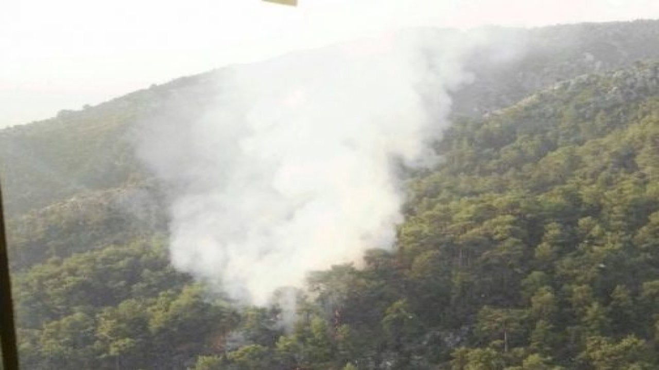 Fethiye'de orman yangını