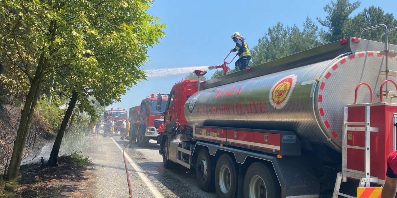 Muğla'da çıkan yangında 2 dönüm ormanlık alan zarar gördü