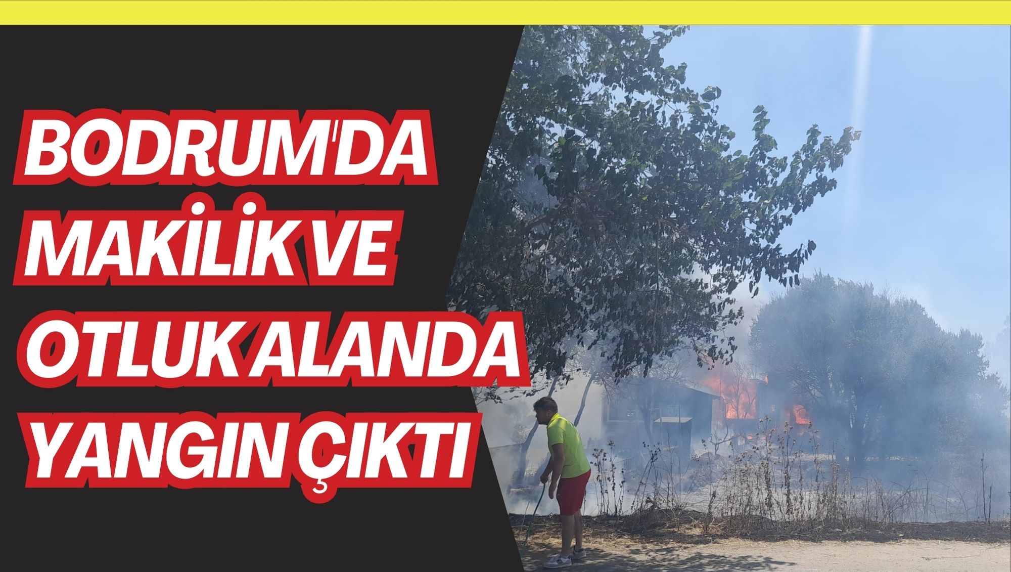 Bodrum'da makilik ve otluk alanda yangın çıktı