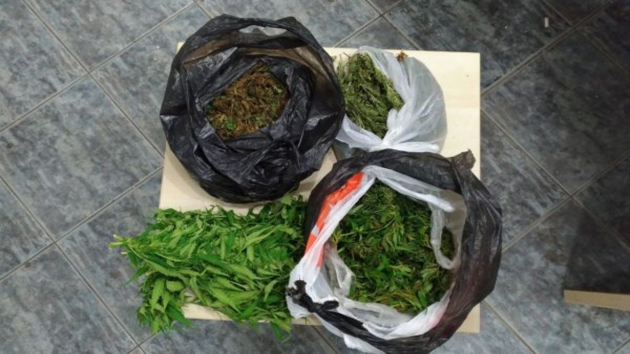 Bodrum'da uyuşturucu operasyonu