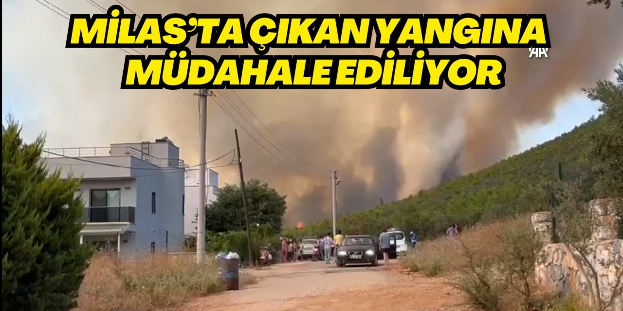 MİLAS’TA ÇIKAN YANGINA HAVADAN VE KARADAN MÜDAHALE EDİLİYOR