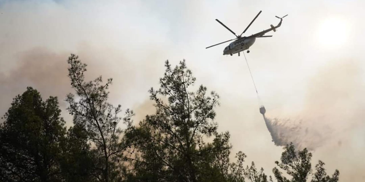 Milas’ta çıkan yangın kontrol altına alındı