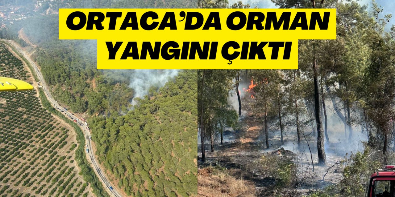 ORTACA’DA ORMAN YANGINI ÇIKTI