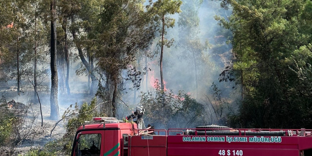 Ortaca'da çıkan yangın kontrol altına alındı
