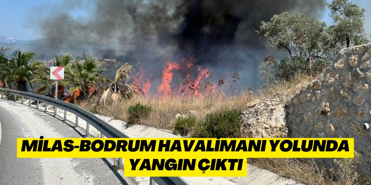 Milas-Bodrum Havalimanı yolunda yangın çıktı
