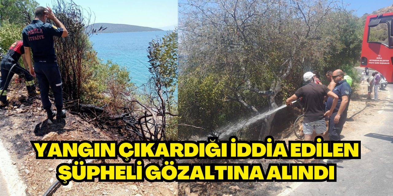 Yangın çıkardığı iddia edilen şüpheli gözaltına alındı