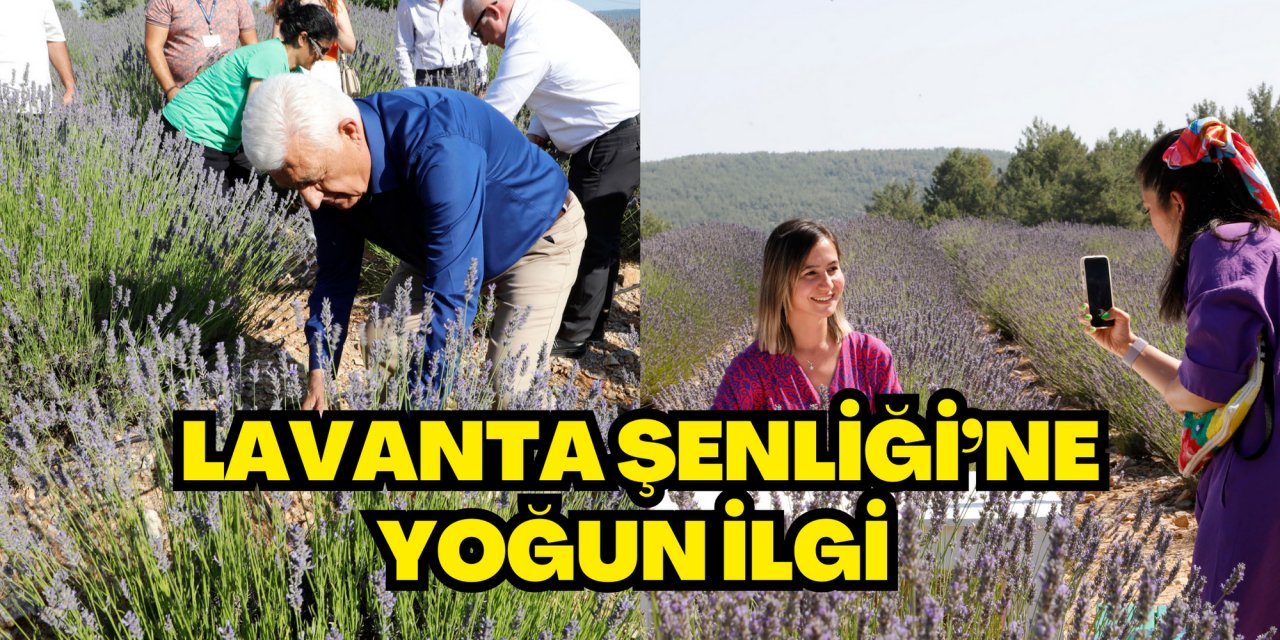 Lavanta Şenliği’ne Yoğun İlgi