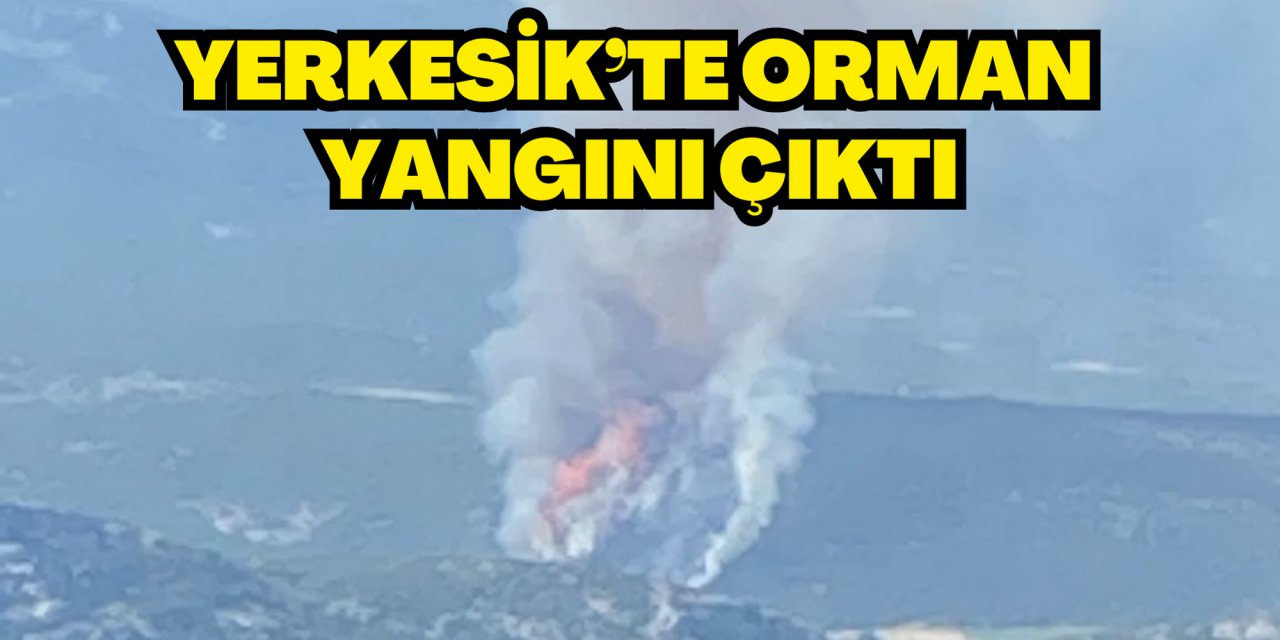 YERKESİK’TE ORMAN YANGINI ÇIKTI