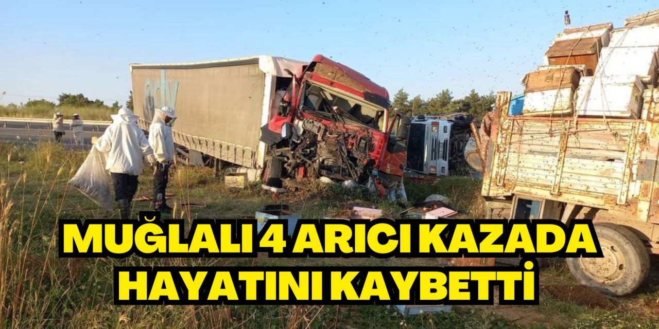 MUĞLALI 4 ARICI KAZADA HAYATINI KAYBETTİ