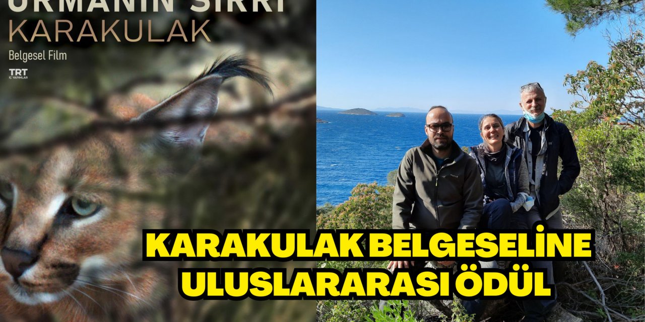 Karakulak Belgeseline Uluslararası Ödül