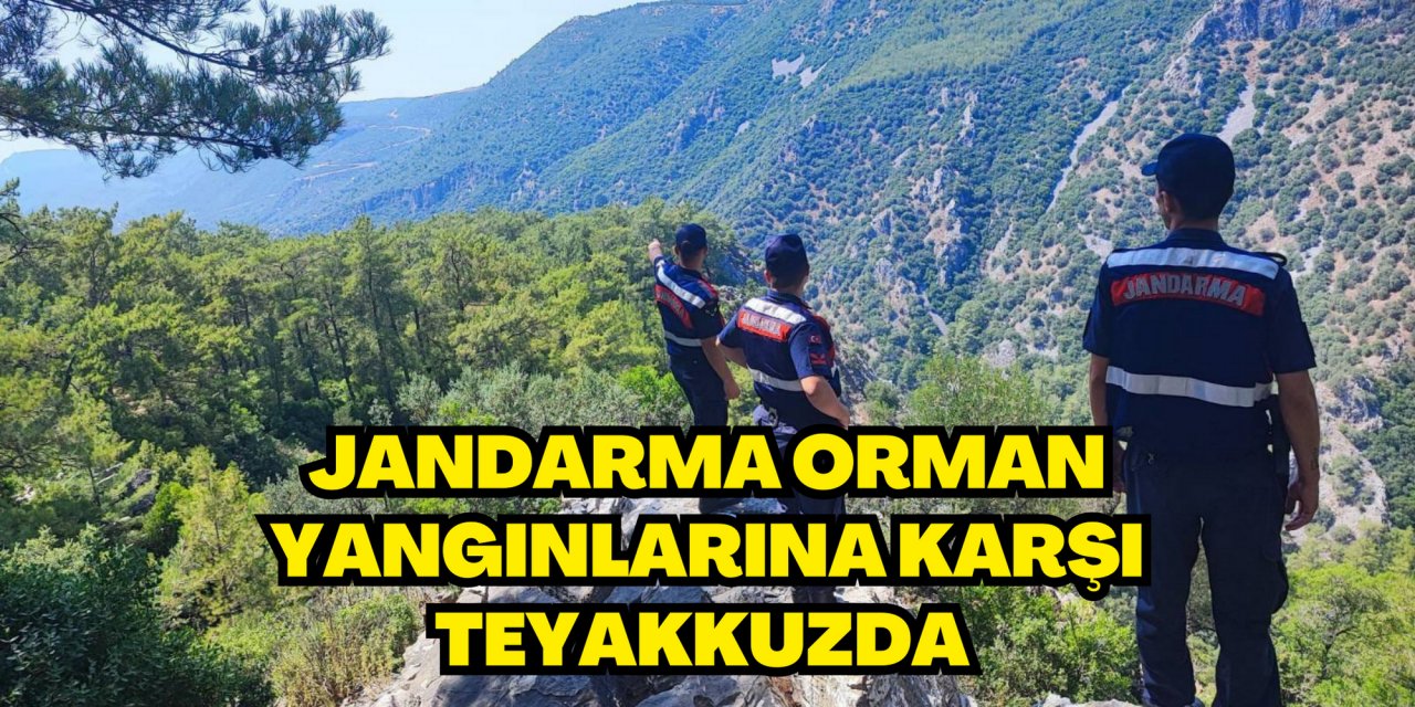 Jandarma orman yangınlarına karşı teyakkuzda