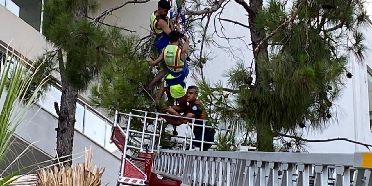 Deniz paraşütündeki 2 kişi düştükleri ağaçta asılı kaldı