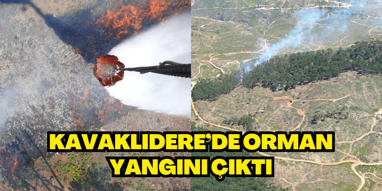 KAVAKLIDERE’DE ORMAN YANGINI ÇIKTI