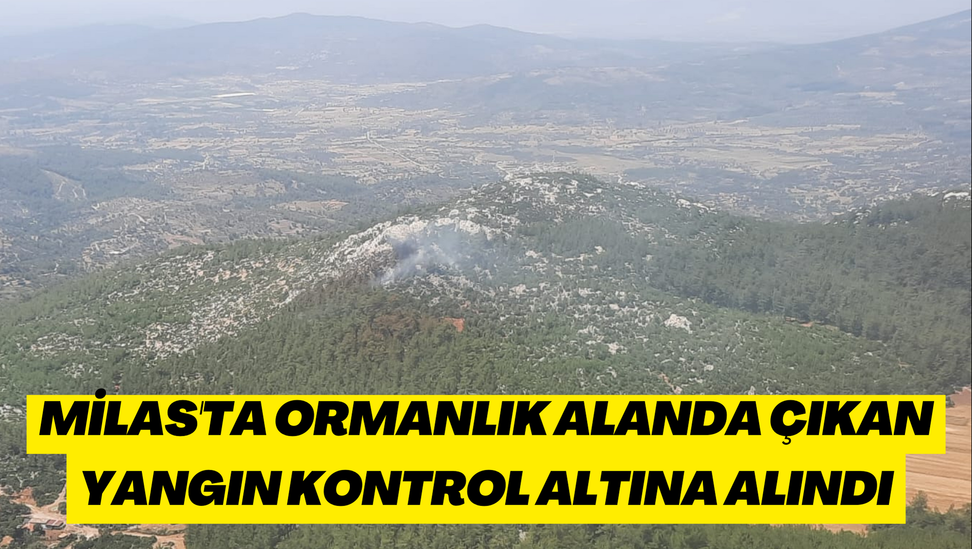Milas'ta ormanlık alanda çıkan yangın kontrol altına alındı