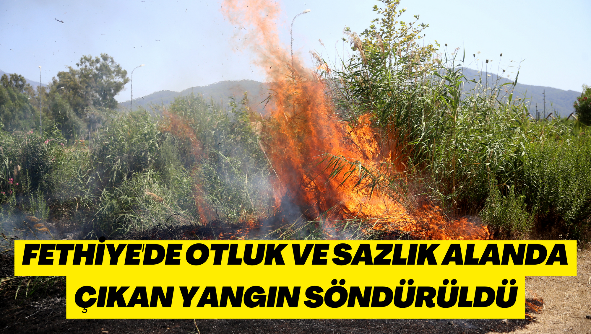 Fethiye'de otluk ve sazlık alanda çıkan yangın söndürüldü