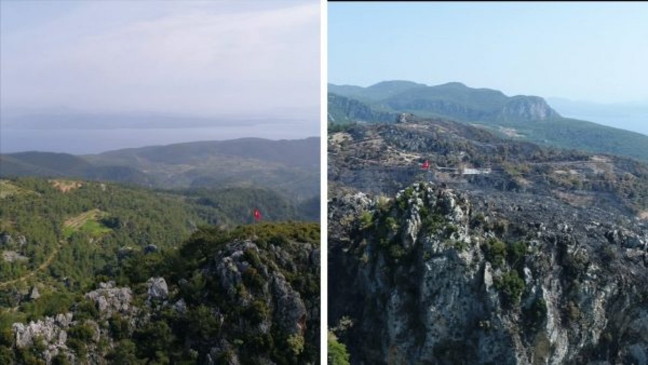 Zeytinköy’ün yangın öncesi ve sonrası