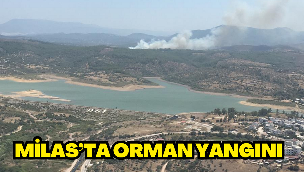 MİLAS’TA ORMAN YANGINI