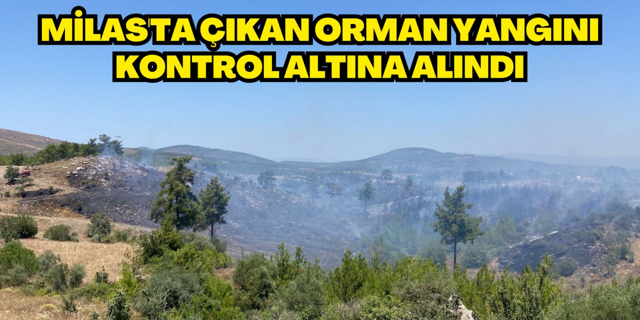 Milas'ta çıkan orman yangını kontrol altına alındı