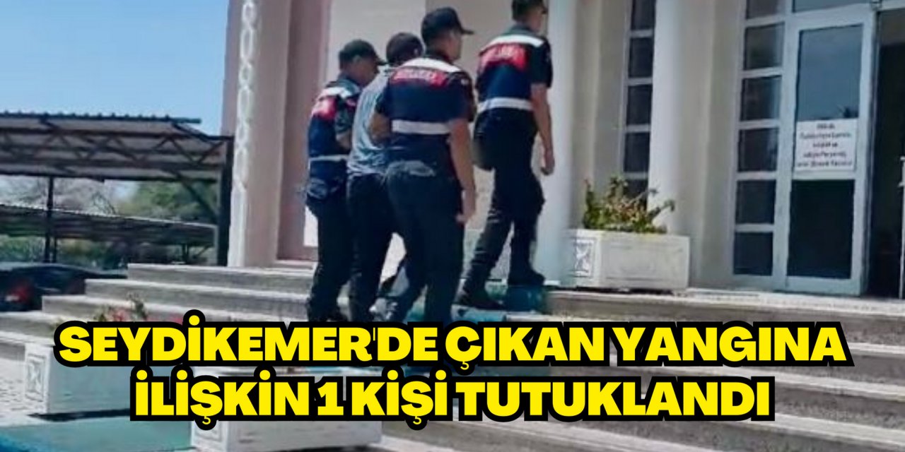 Seydikemer'de çıkan yangına ilişkin 1 kişi tutuklandı