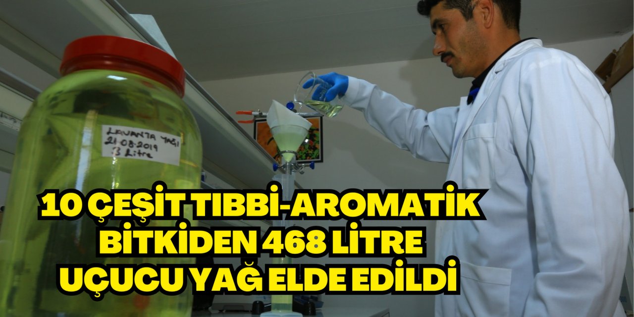 10 ÇEŞİT TIBBİ-AROMATİK BİTKİDEN 468 LİTRE UÇUCU YAĞ ELDE EDİLDİ