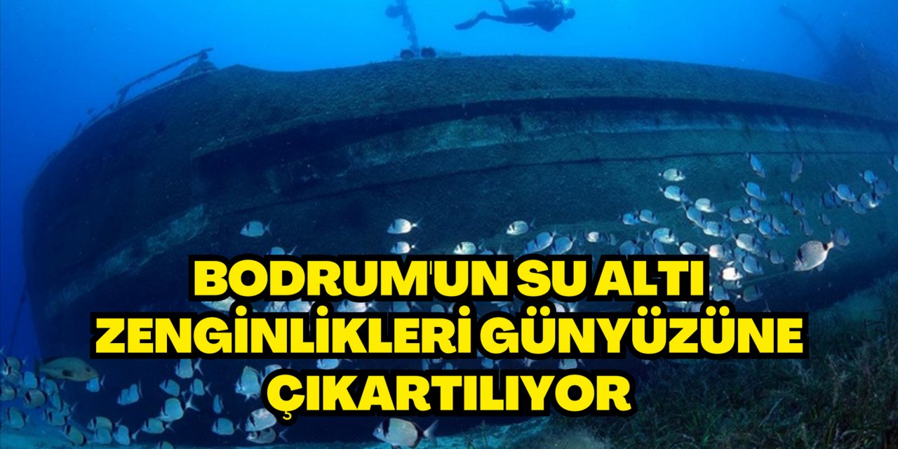 Bodrum'un su altı zenginlikleri günyüzüne çıkartılıyor