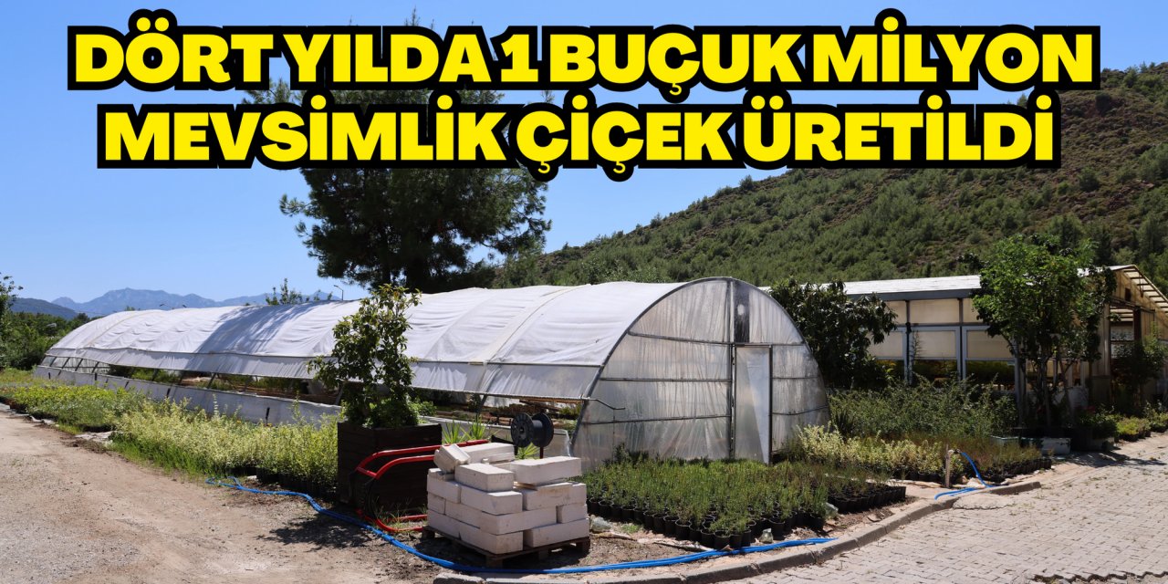 DÖRT YILDA 1 BUÇUK MİLYON MEVSİMLİK ÇİÇEK ÜRETİLDİ