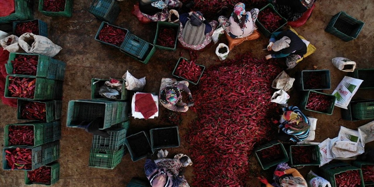 KOOP-DES'te kadın kooperatiflerine yönelik hibe tutarları güncellendi