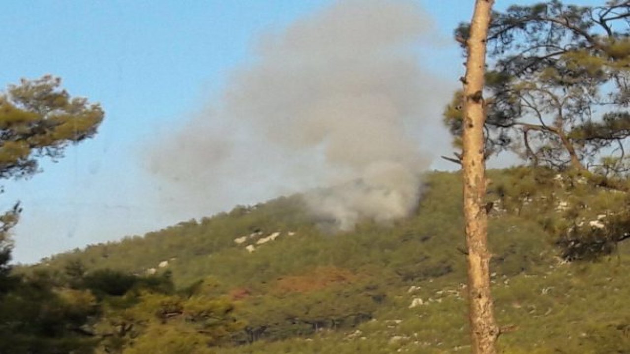 Orman yangını kontrol altına alındı