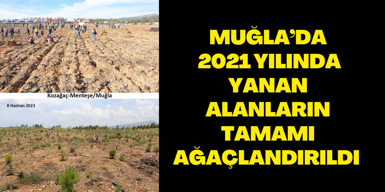 MUĞLA’DA 2021 YILINDA YANAN ALANLARIN TAMAMI AĞAÇLANDIRILDI