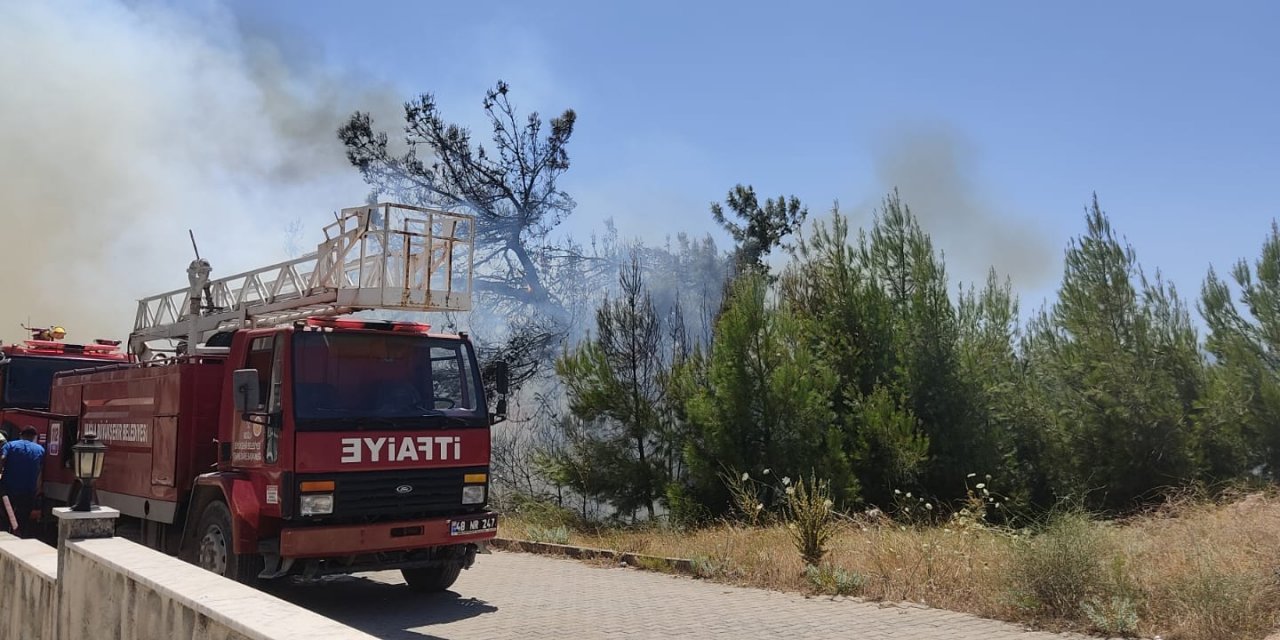 YATAĞAN’DA YANGIN PANİK YAŞATTI