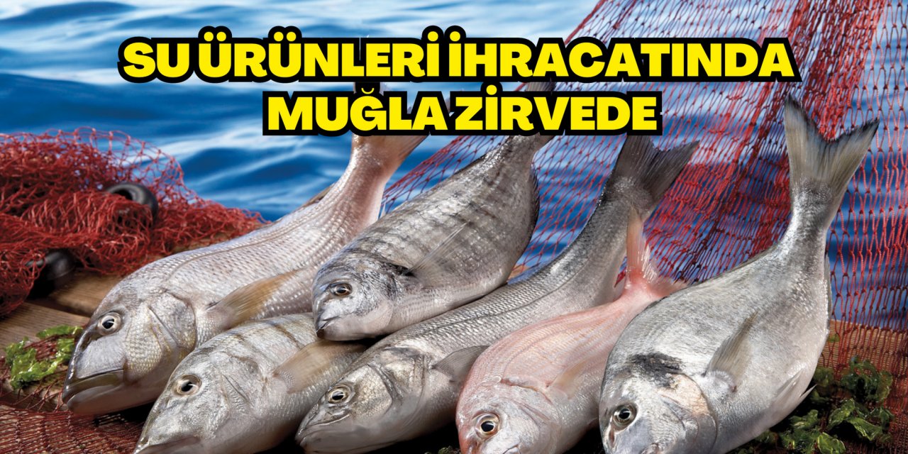 Su ürünleri ihracatında Muğla zirvede
