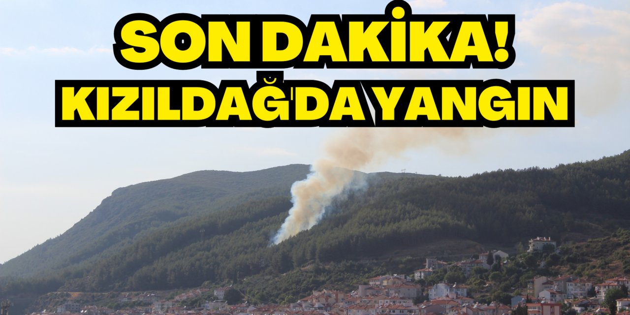 SON DAKİKA!!! KIZILDAĞ'DA YANGIN