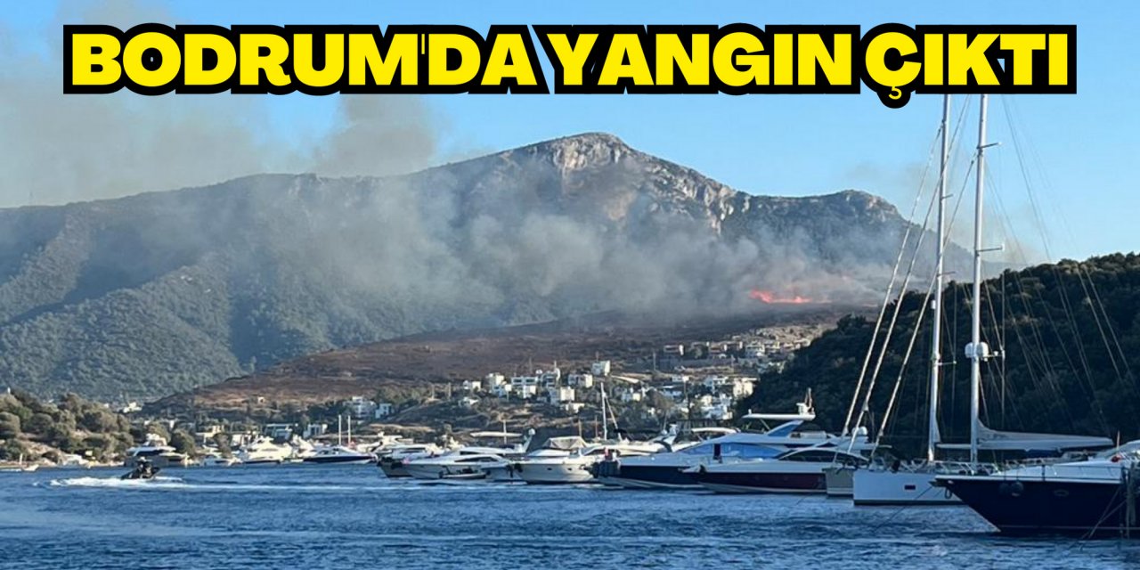 Bodrum'da yangın çıktı