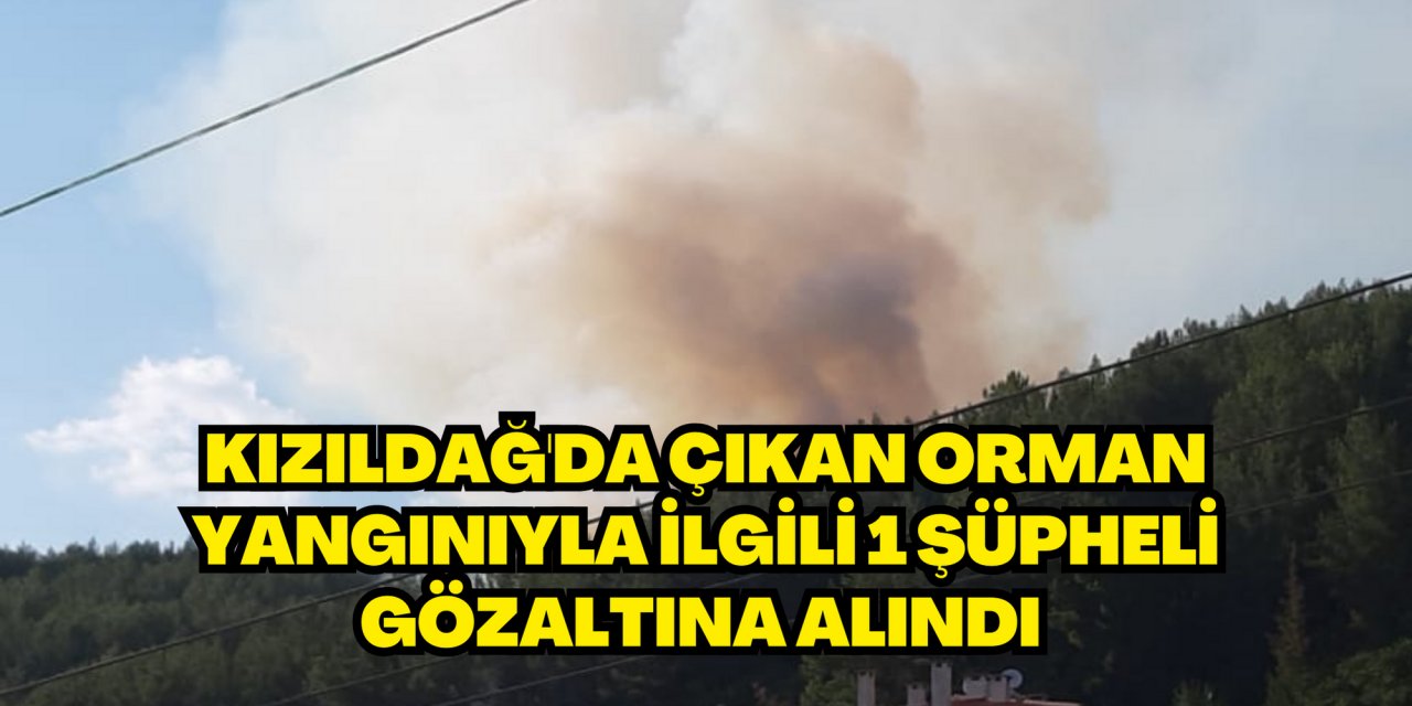 Kızıldağ'da çıkan orman yangınıyla ilgili 1 şüpheli gözaltına alındı
