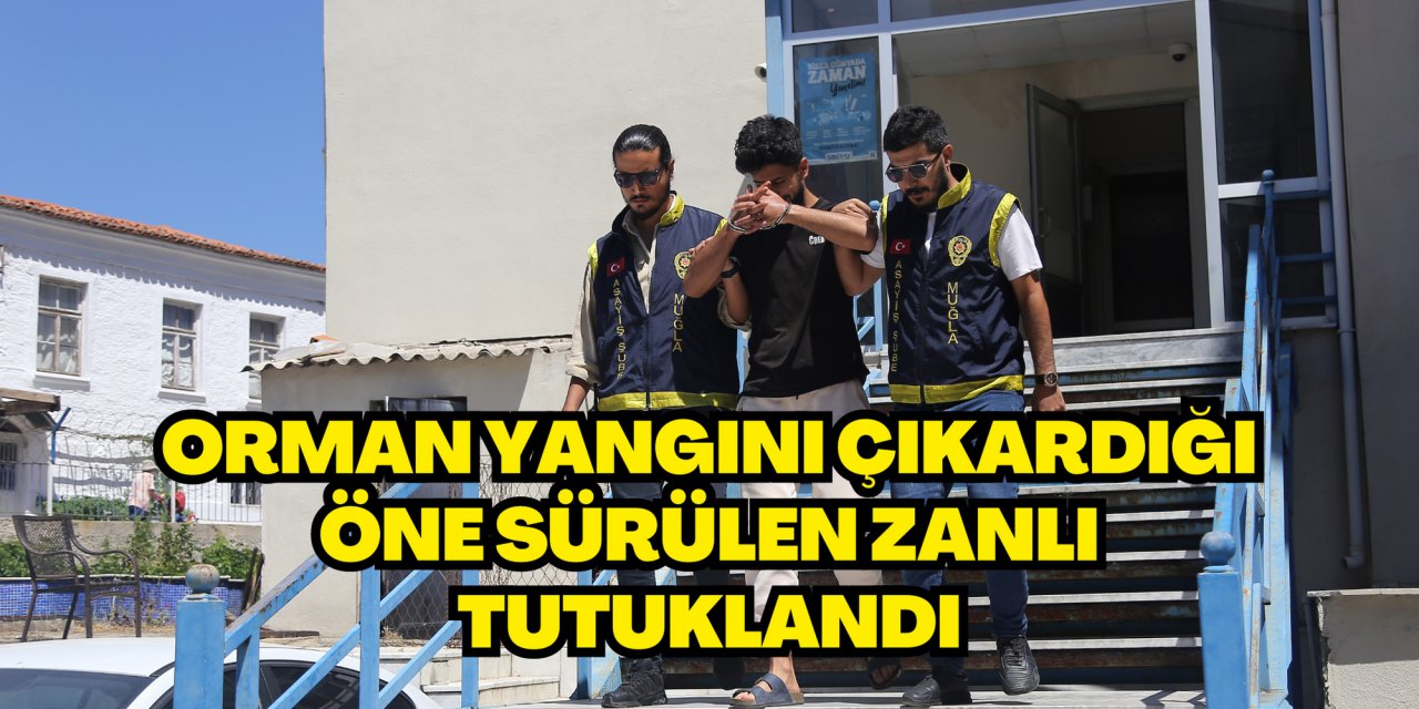 Orman yangını çıkardığı öne sürülen zanlı tutuklandı