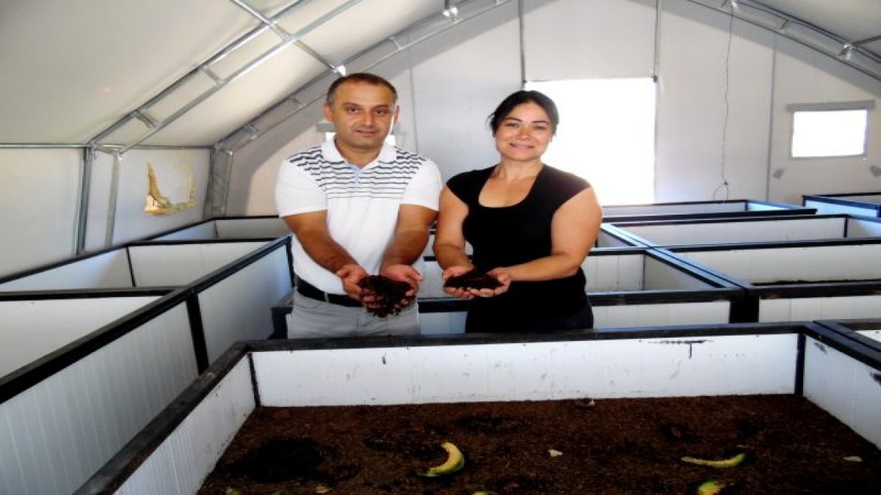 Türk tarımını kurtaracak ‘solucan devrimi’