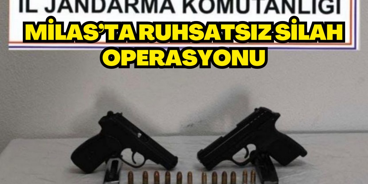 Milas’ta ruhsatsız silah operasyonu