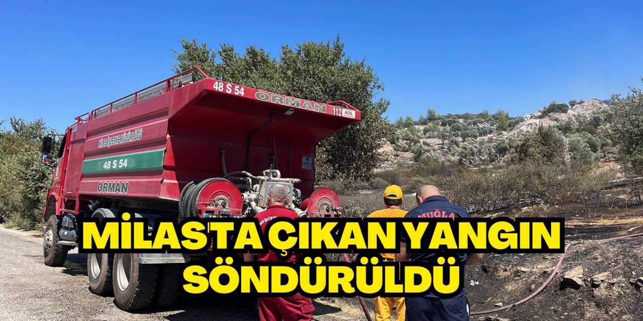 Milas'ta çıkan yangın söndürüldü