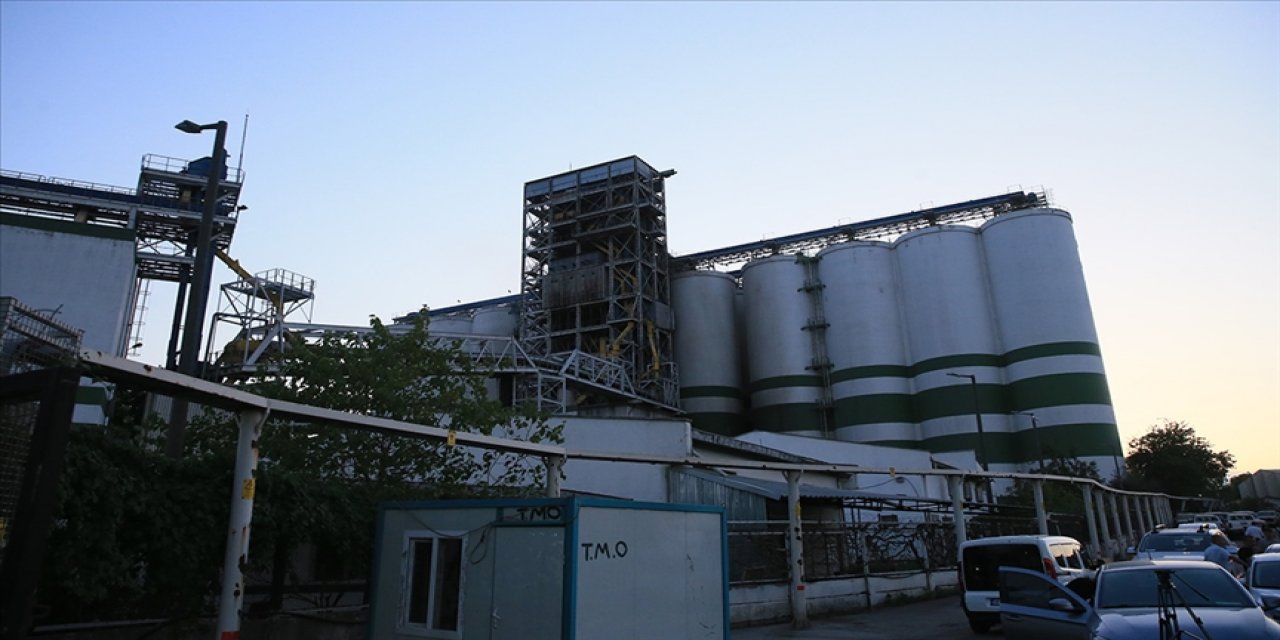 TMO Genel Müdürü Güldal: Derince'deki patlamayla herhangi bir buğday eksikliğinin olmayacağını söyleyebiliriz