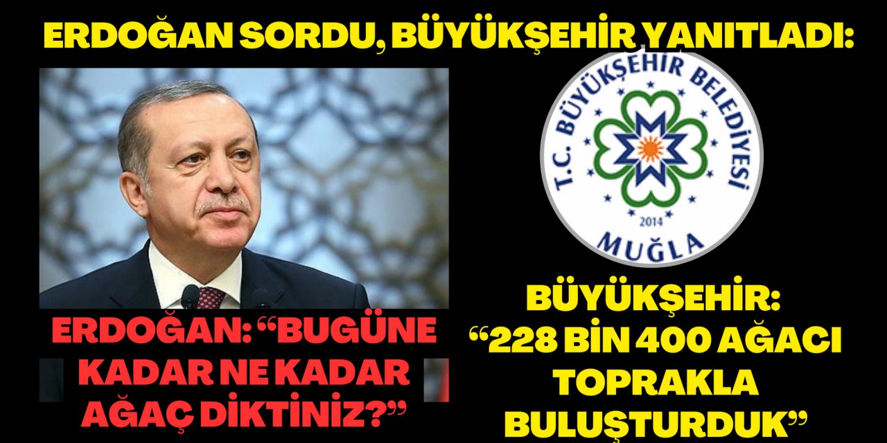 Cumhurbaşkanı Erdoğan sordu, Büyükşehir yanıtladı | Büyükşehir: “228 bin 400 ağacı toprakla buluşturduk”